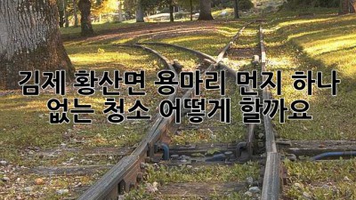 김제 황산면 용마리 먼지 하나 없는 청소, 어떻게 할까요?